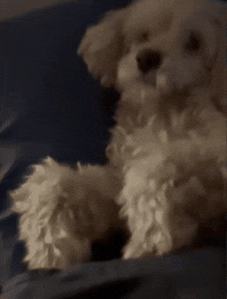 Tired Adventure Time GIF