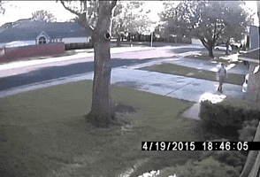 200.gif?cid=fc005b08f9a05e1dd30adcd84c72f6e6037c07606d12869d&rid=200.gif&ct=g