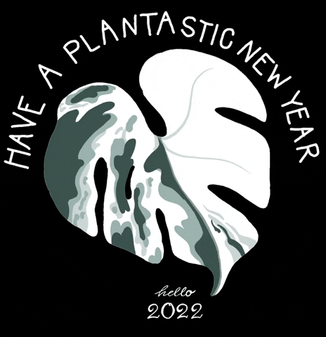 gif new album 2022