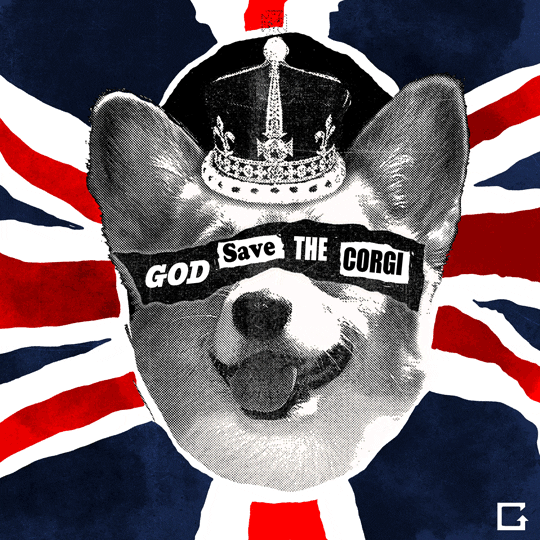 Doggydynasty GIFs Get the best GIF on GIPHY