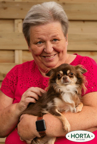 Honden GIF