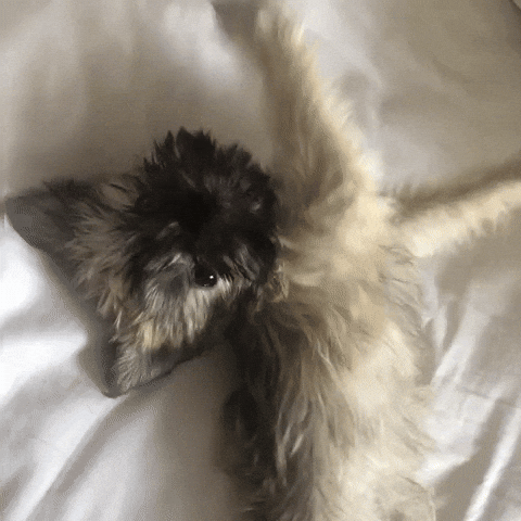 Tired Good Morning GIF by NZ Collab