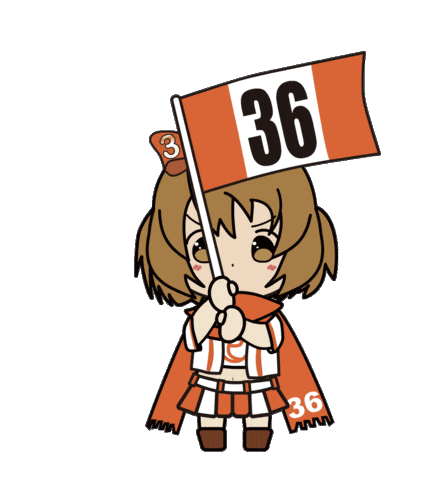 Racing Flag Sticker by Entowa's