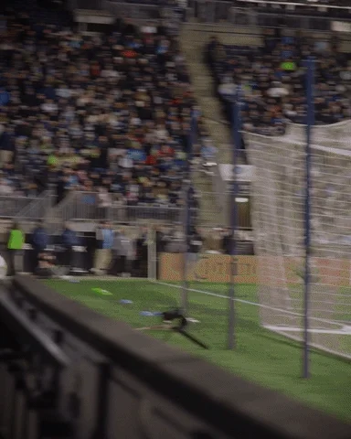 Chicago Fire Soccer GIF