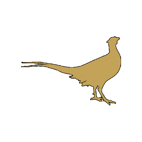 Pheasant Sticker by Sportsman Game Feeds
