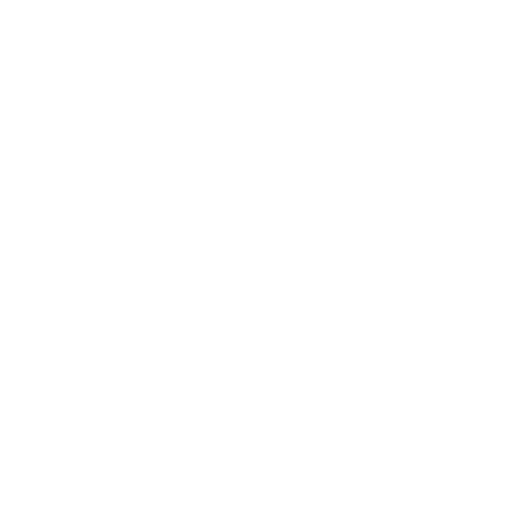 NXT Racing Sticker