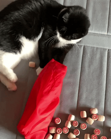GIF by Stoloto