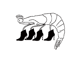 Verina Sifnos Sticker