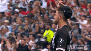 chicago white sox james GIF by MLB