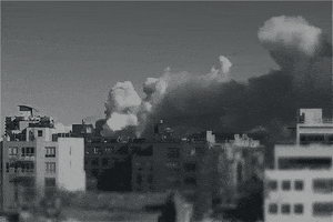 Black And White Nyc GIF
