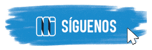 Instituto Neumann Sticker