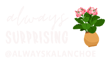 Sticker by Always Kalanchoe