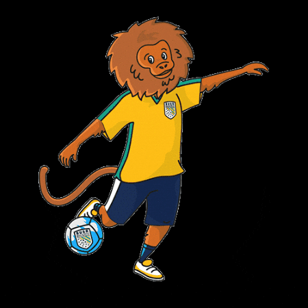 Soccer Nikko GIF by Brazilian United Corp.