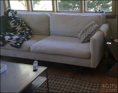 Couch Wtf GIF