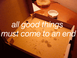 All Good Things Pizza GIF