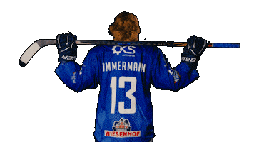 Tigershockey Sticker by Straubing Tigers