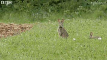 200.gif?cid=fc005b084bc3af423df95841d76a8c6b3017096a4225dafa&rid=200.gif&ct=g