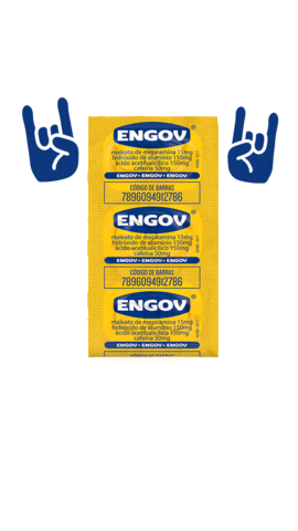 Festival Festa Sticker by Engov