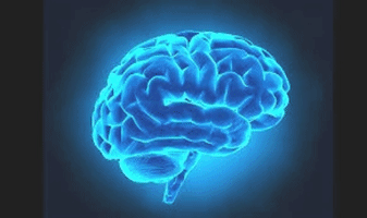 Green Throbbing Brain Colin Stewart Jones GIF