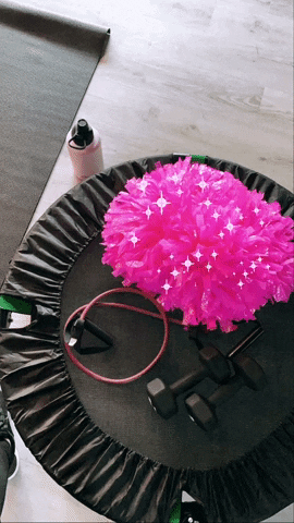 The Booty Camp RI GIF