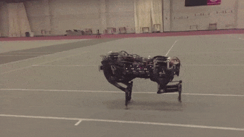 robotics cheetah GIF by MIT 