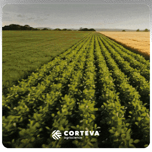 Fungicidacorteva GIF by Corteva Brasil