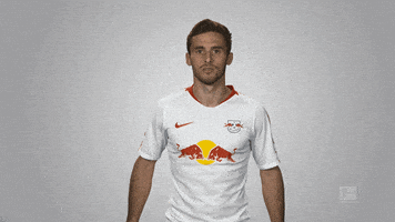 rb leipzig GIF by Bundesliga