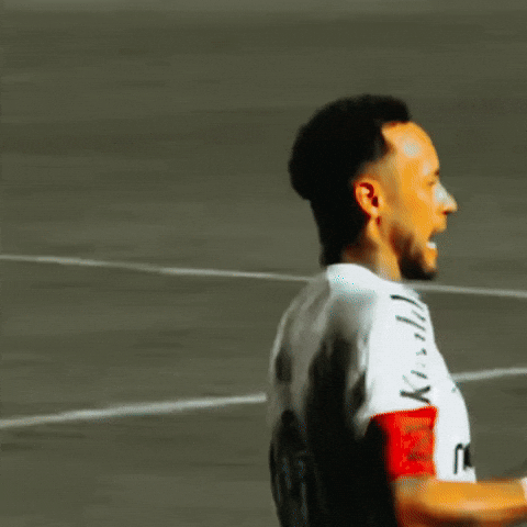 Santos Fc GIF by Rick DSGNR