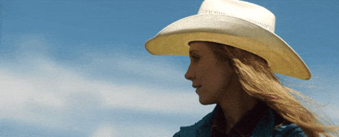 200.gif?cid=fc005b0842959f72b59b2943822b5be599365c84af3b3963&rid=200.gif&ct=g