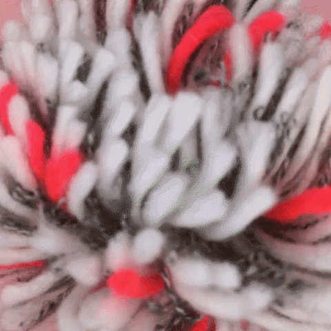 stop motion flower GIF by Julie Smith Schneider