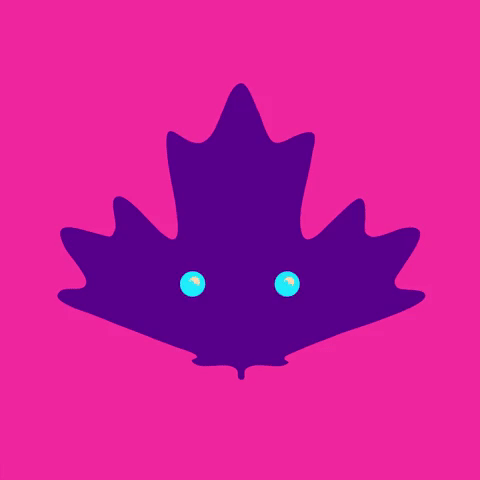 Cats Canada GIF