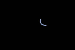 Animation GIF
