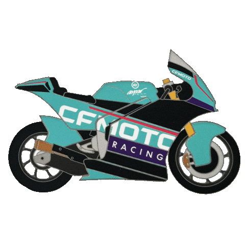 Motorcycle Racing Sticker by BWImport