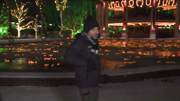 snow omg GIF by WGN Morning News