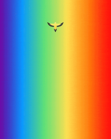 Rainbow Pride GIF by Lincoln Goldfinch Law