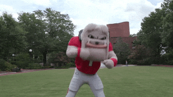 College Football Eating GIF by University of Georgia