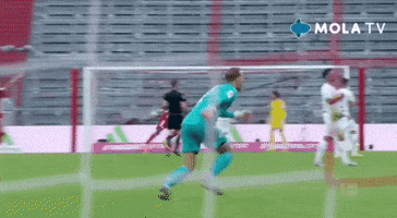 Sliding Manuel Neuer GIF by MolaTV