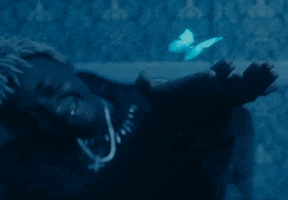 Hip Hop Butterfly GIF by Ken Carson
