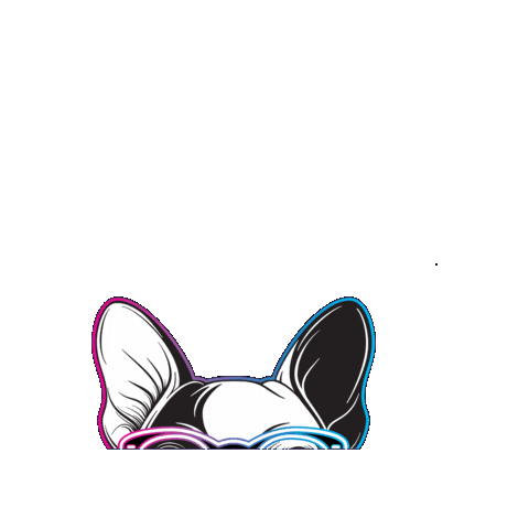 Sparkmirror Sticker by SPARK concept