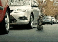 Parallel Park Gifs Get The Best Gif On Giphy
