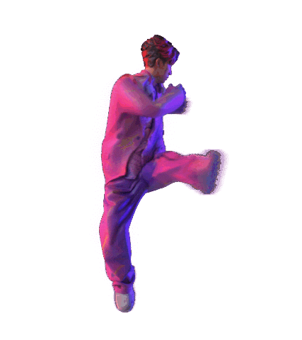 Sthk Kicking Sticker by Secret Tour Hong Kong