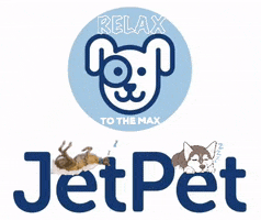 Jetpetresort GIF