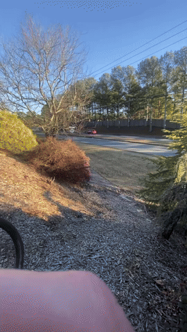 Bike GIF