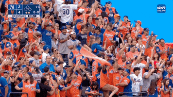 Citi Field Sport GIF by The 7 Line