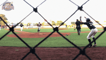 High Five Baseball GIF by Evansville Otters