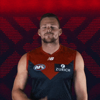 melbourne football club yes GIF by Melbournefc