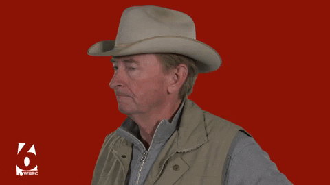 giphy.gif?cid=ecf05e47gd32osjchh4iih3t4a