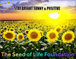 Food Grow GIF by The Seed of Life Foundation Food Grow GIF by The Seed of Life Foundation