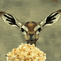 Popcorn-deer GIFs - Get the best GIF on GIPHY