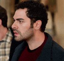 Actor Turkish GIF